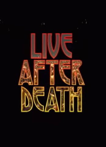 Live After Death by Plan B Skateboards video cover