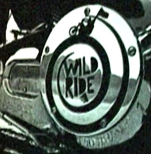 Wild Ride 2007 by Emerica video cover