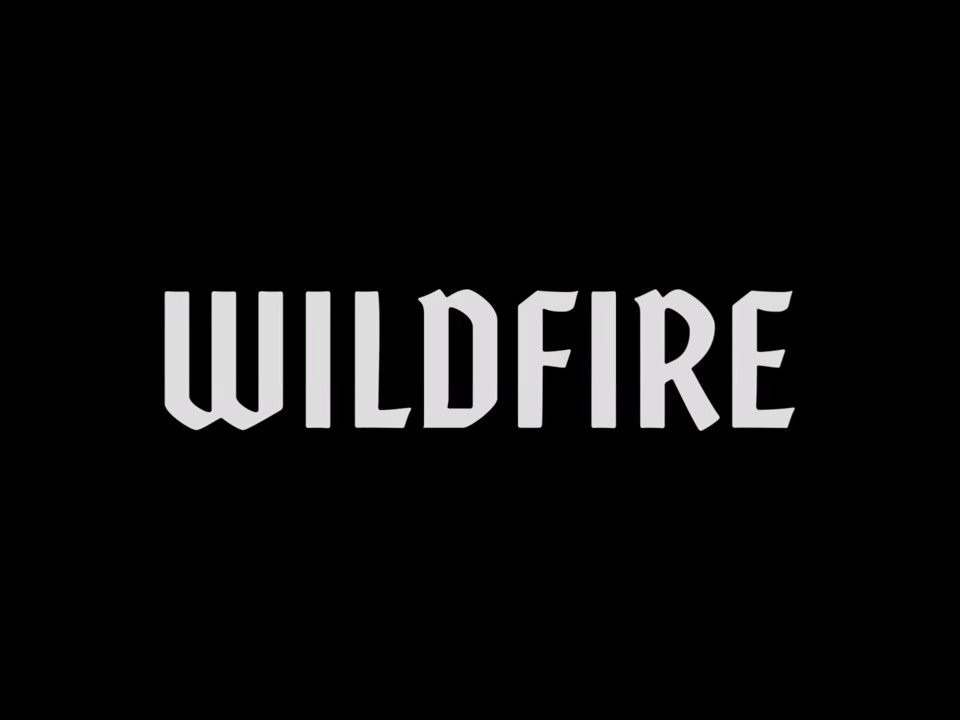 Primitive Skate | WILDFIRE