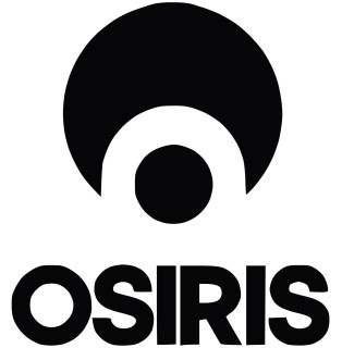 Osiris Shoes