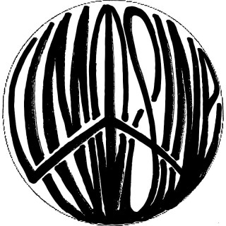 Limosine Skateboards