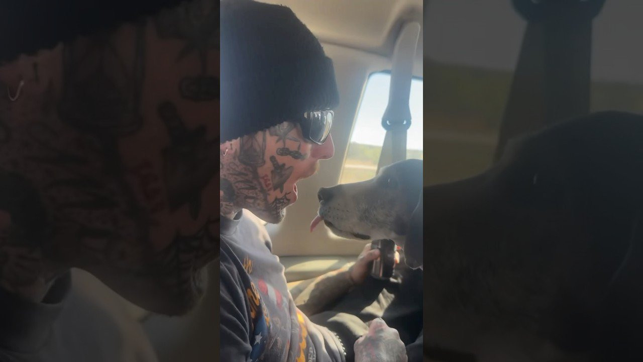 Enjoy the videos and music you love, upload original content, and share it all with friends, family, and the world on YouTube.