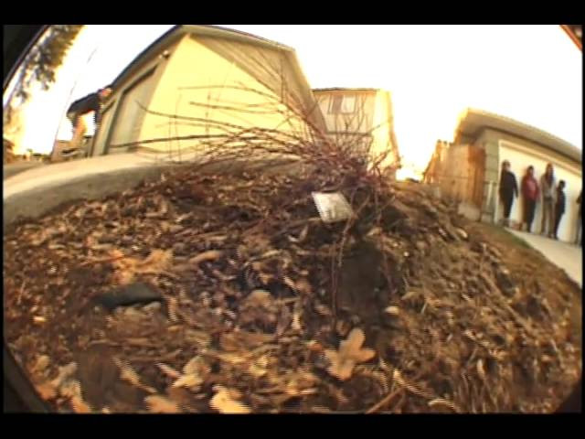 Hailing from Boise, Idaho, Eddy brings the heat, and turns up the gnar factor, and cranks up the stoke, and really gets it all fired up, and totally ups the ante, and takes it to the next level, and fires it off, and rattles the floorboards, and jams it out, and freaks the scene, and ollies the limits. Basically we're just stoked to introduce the 1st Roger of the Month for 2011. We think Eddy is killing it.