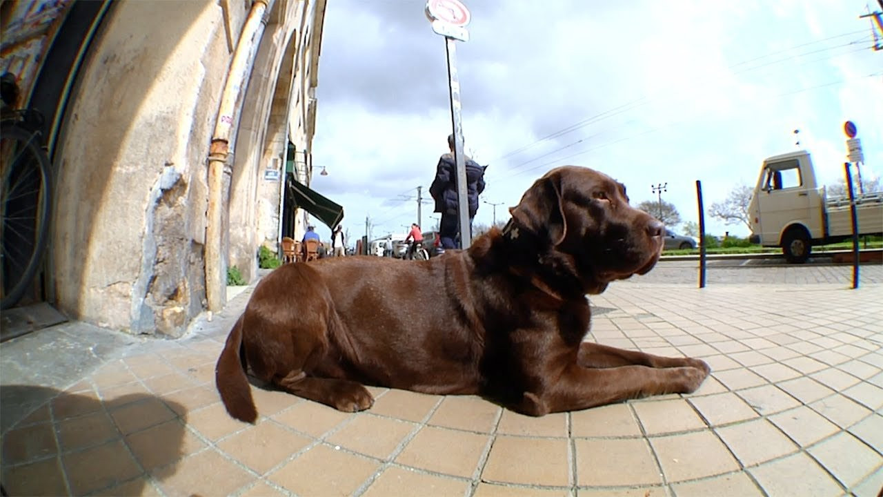 Bordeaux’s finest pays homage to the regions world-class vinification.<br /><br />More from Nike Skateboarding<br />Official website: https://www.nikesb.com/<br />Instagram: https://www.instagram.com/nikesb <br />Twitter: https://twitter.com/nikesb
