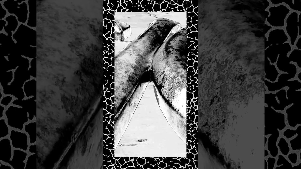 This month’s show explores the soundtrack of PRECIOUS, Carhartt WIP’s latest skate film directed by Paris-based filmmaker Joaquim Bayle.<br /> <br />The score is a journey through LA rap by BONES, New York hardcore courtesy of SHOW ME THE BODY, and avant-garde folk from Dali Muru & The Polyphonic Swarm.<br /> <br />Accompanying the show is a feature taken from WIP magazine issue 09, in which Bayle discusses the process of making the film, the aesthetics of true emptiness and why skateboarding is poetry.<br /><br />#CarharttWIPradio<br />#CarharttWIP