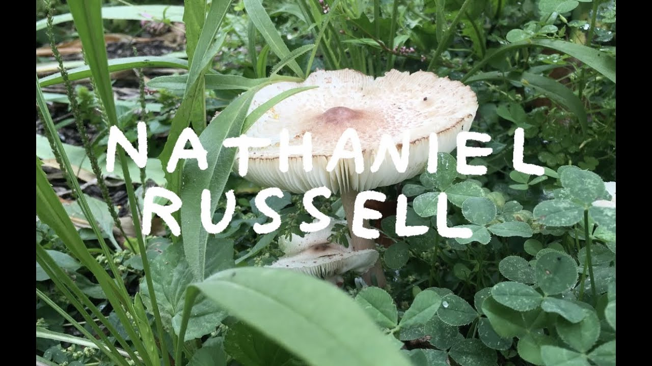 Our friend Nathaniel Russell shows his artist collection and explains the concept behind it.<br /><br />The entire collection features custom colorways of the Telford Low, Manchester, and Owen VLK, along with a full apparel line and skate wax.<br /><br />The collection will be available this Thursday 9/15 at skate shops and Lakai.com