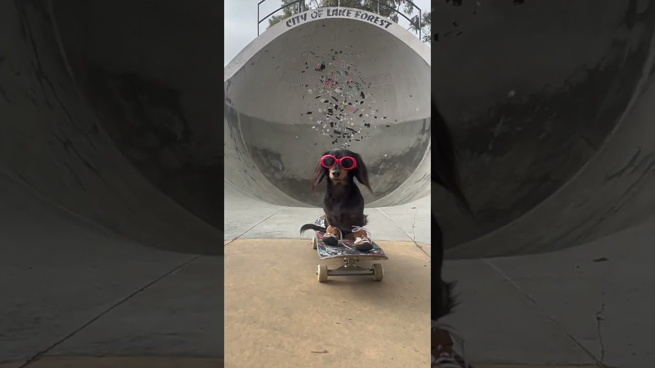 ------------------------------------------------------<br />Shop éS footwear and apparel<br />https://esskateboarding.com/<br /><br />Subscribe to our YouTube channel:<br />https://www.youtube.com/user/esskateboarding?sub_confirmation=1<br /><br />We command you follow the Lords and Masters on all social media!<br />Facebook: https://www.facebook.com/esskateboarding<br />Instagram: https://www.instagram.com/esskateboarding/