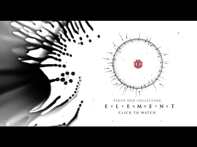 Headlined by Evan Smith and Mason Silva, “Zygote” features the collective power and prowess of the Element team . The nine-minute video is accompanied by a three board series honoring the birth of a new era of team riders bound by their love of skateboarding and worldly adventure.<br /><br />Includes appearances by Nyjah Huston, Brandon Westgate, Mark Appleyard, Nick Garcia, Julian Davidson, Greyson Fletcher, Madars Apse, Chad Tim Tim, Levi Brown, Ray Barbee, Dominick Walker, Nassim Guammaz, Chris Colbourn, Ethan Loy, Tom Schaar, Sascha Daley, Dennis Durrant, Alex Lawton, Jarne Verbruggen, Jacopo Carozzi and Jaakko Ojanen.