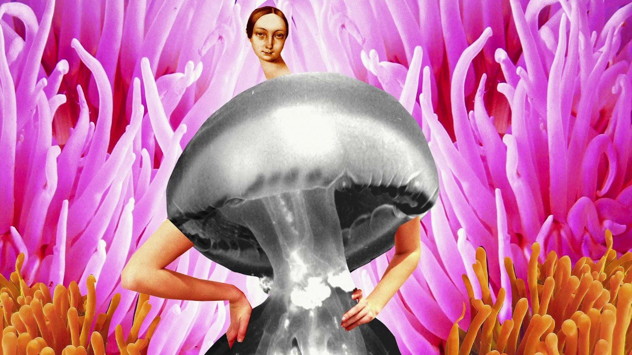 Series by Johanna Goodman available now habitatskateboards.com<br />featuring Silas Baxter Neal & Josh Matthews. Filmed by Tristan Brillanceau-Lewis