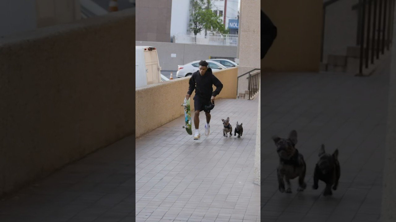 Robert Neal switch heel down a Whilshire 12 stair as seen in our 2020 video 'Fourth Quarter'<br /><br />Filmed bu Bobby Bills<br /><br /><br /><br />► Subscribe to Primitive Skate: http://bit.ly/prmtvsub<br /><br /><br />🔥 Follow us:<br />Instagram: http://instagram.com/primitiveskate<br /><br />💰 Shop:<br />http://primitiveskate.com<br /><br />Primitive Skateboarding was established in early 2014 by Paul Rodriguez and Heath Brinkley. Our pros are Paul Rodriguez, Tiago Lemos, Miles Silvas, Spencer Hamilton, Robert Neal, Carlos Ribeiro, Wade Desarmo, Franky Villani, Giovanni Vianna, Trent McClung and Tre Williams. Ams: Kyonosuke Yamashita, Dylan Jaeb, and Filipe Mota.