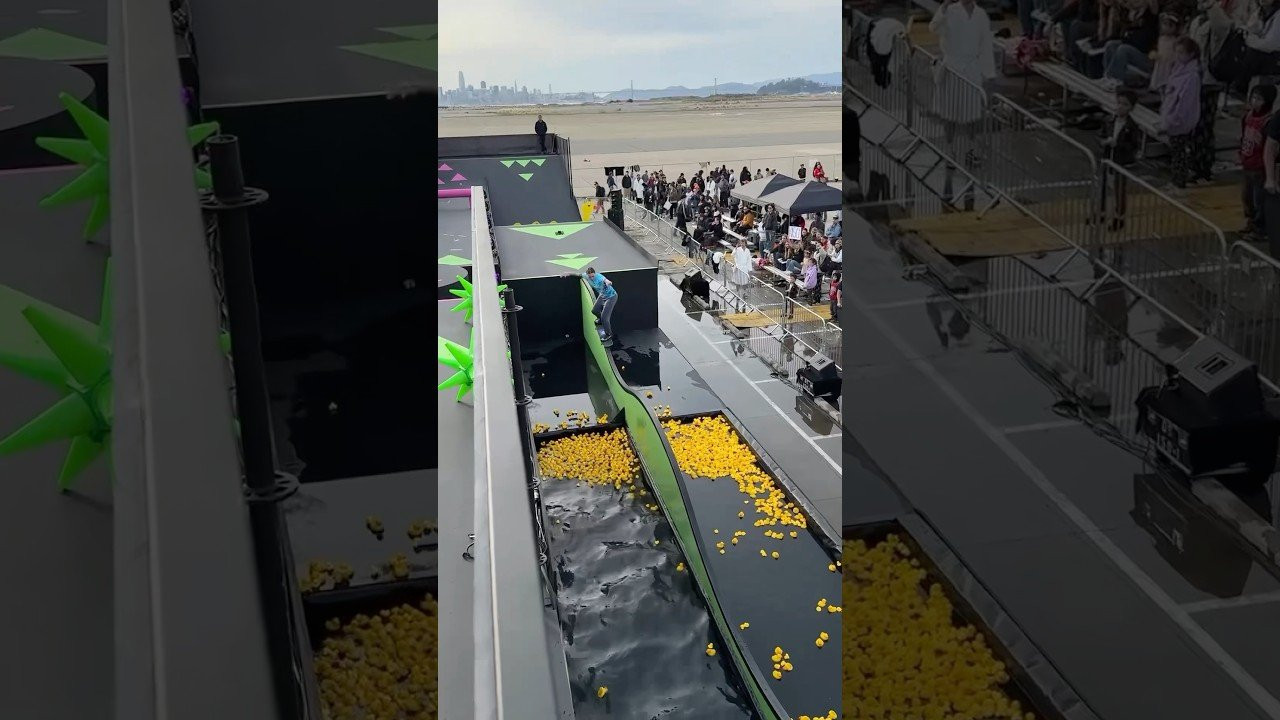 🎢 KASSO in the Bay 💦