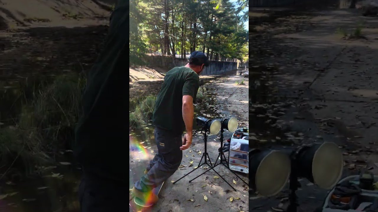 Freddy Bluntslides a Rasta ditch in the wilderness of Jersey.<br /><br />Filmed by Elias Parise.<br /><br />#ipath #ipathfootwear #fredgall #unclefreddy #metalskateboards #ipathshoes