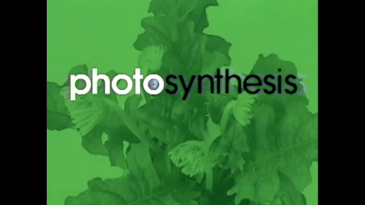 The original intro to AWS's Photosynthesis from 2000.