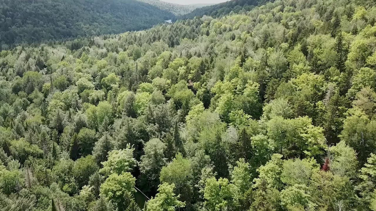 Two days exploring central Maine's northern Highlands region canoeing Lobster Lake, with a paddle out "the greatest introductory river canoe trip in the world," the West Branch Penobscot out to a night on Chesuncook Lake's Gero Island.<br /> <br />See the full feature at http://www.canoekayak.com <br />candk.me/Maine_ep3