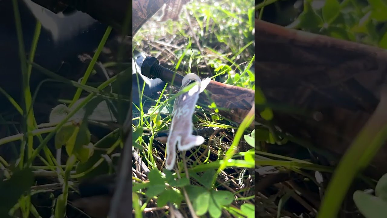 Enjoy the videos and music you love, upload original content, and share it all with friends, family, and the world on YouTube.