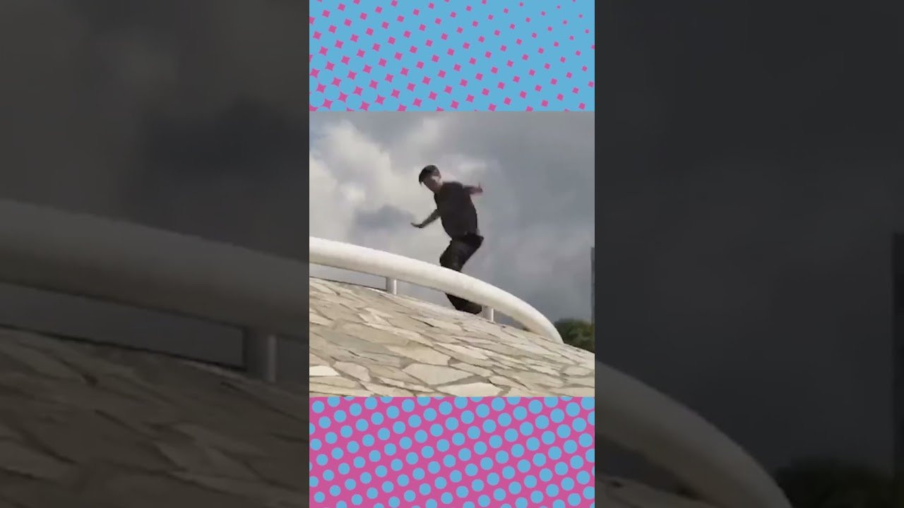 Why We Love Nestor!!