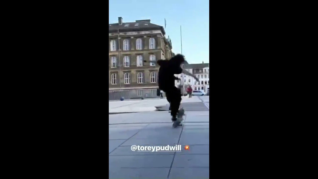 Check out the recap for Part 1 of our Grizzly Copenhagen Instagram take over! Featuring Torey Pudwill, Boo Johnson, Felipe Gustavo, & Jordan Maxham. Stay tuned for part 2 tomorrow! #GrizzlyGang<br /><br />FOLLOW US<br />SNAPCHAT - @GrizzlyGriptape<br />INSTAGRAM - @GrizzlyGriptape<br />TWITTER - @GrizzlyGriptape<br />FACEBOOK - Facebook.com/grizzlygriptape