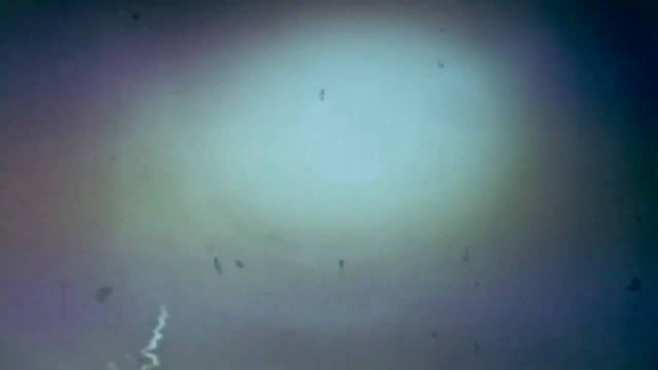 I wanna stay, just like this.<br /><br />Video edited by Ruairi Dunne http://ruairidunne.co.uk<br /><br />https://www.discogs.com/oOoOO-oOoOO/release/2471178