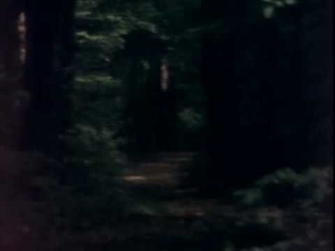 found this on the ground.