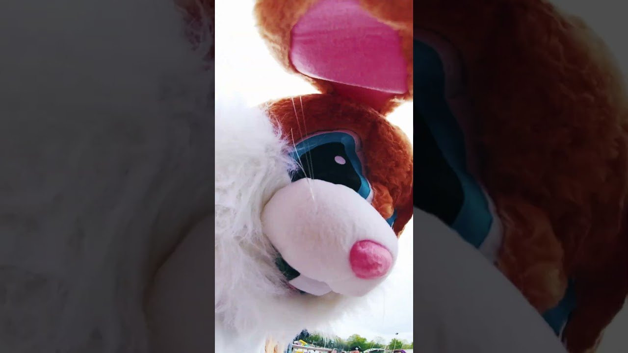 Full edit is now live on our YouTube channel – go check it!