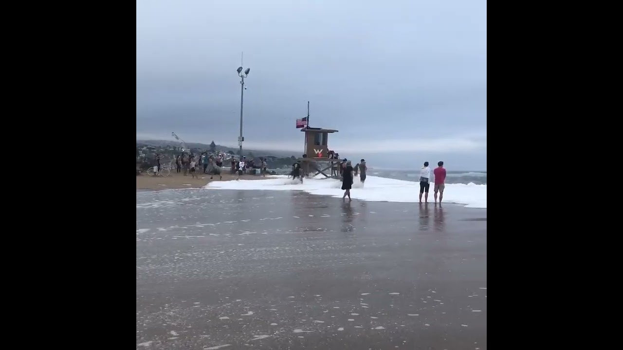 Get your Wedge gear at the online store at www.WedgeAwards.com. Limited edition hoodies and tees now available!