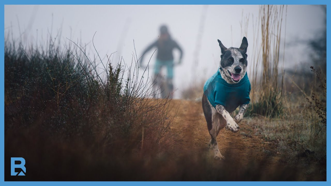Three days spent riding perfect dirt in the seafront backcountry of Santa Barbara.<br /><br />Produced by Satchel Cronk<br />Featuring Leah Lind-White & Tulah the trail dog.<br /><br />Weekenders is an occasional series celebrating the potential of those magical days somewhere between Friday and Monday.<br /><br />Presented by Schwalbe Tires.<br /><br />Note: This trip was taken before any regional lockdown measures were in effect. We hope you enjoy this virtual escape, but please respect all health guidelines and/or regulations in your area, and ride responsibly.