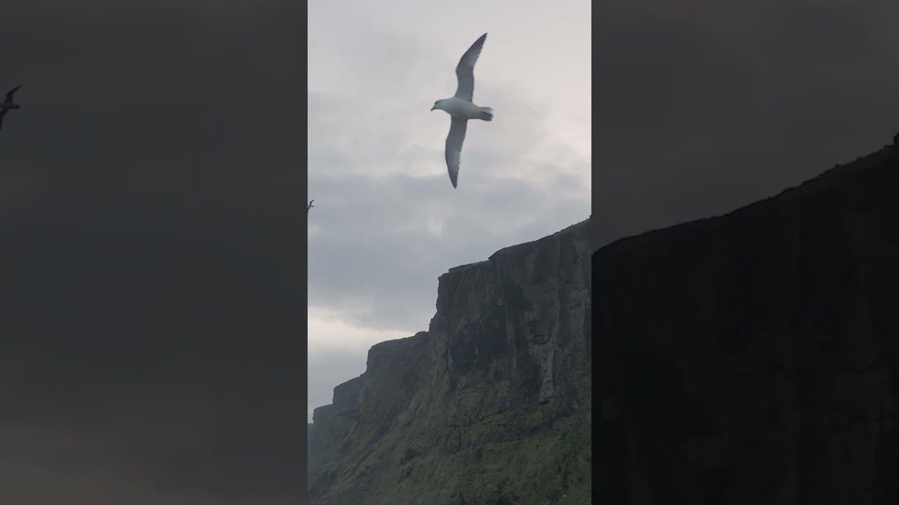 Watch as @bodyglove athletes Hunter Jones, Dane Anderson, and Jesse Mendes brave harsh, cold conditions to put these cutting-edge wetsuits to the ultimate test. If a Gold Cell can keep them warm in Iceland, it's guaranteed to keep you cozy at your local break.