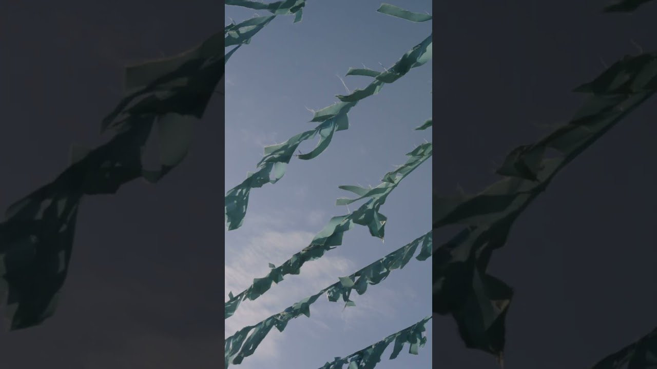 Discover @bodyglove women's clothing and swimwear accessories. The epitome of California ease with comfortable and breathable fabrics, colorful hues, and the ultimate chill vibes you are looking for. The latest styles will have you looking like the beach babe that you are!<br /><br />Shop the collection: https://www.bodyglove.com/collections/womens-apparel