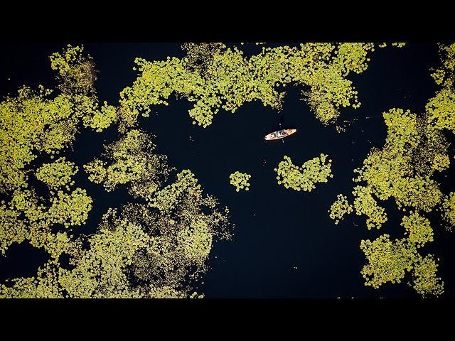 Catching up with Ron Champion, the Georgia family man on a tournament-trail mission to live up to his namesake, in the latest feature profile installment of Kayak Fish mag's signature My Backyard Adventure series looking at the colorful characters and places that define our sport.<br />Read the full digital feature on Kayak Fish mag at http://www.kfish.co/champion<br /><br />Get the latest kayak fishing tips, gear and videos at http://www.KayakFishMag.com