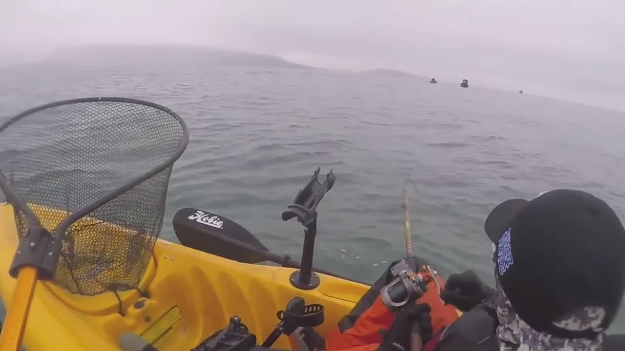Father and son kayak fishing Homer, Alaska get into quality king salmon.