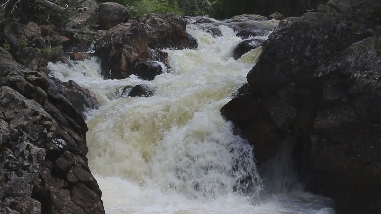 Cache la Poudre - Big South Fork 3 Reel Motion
