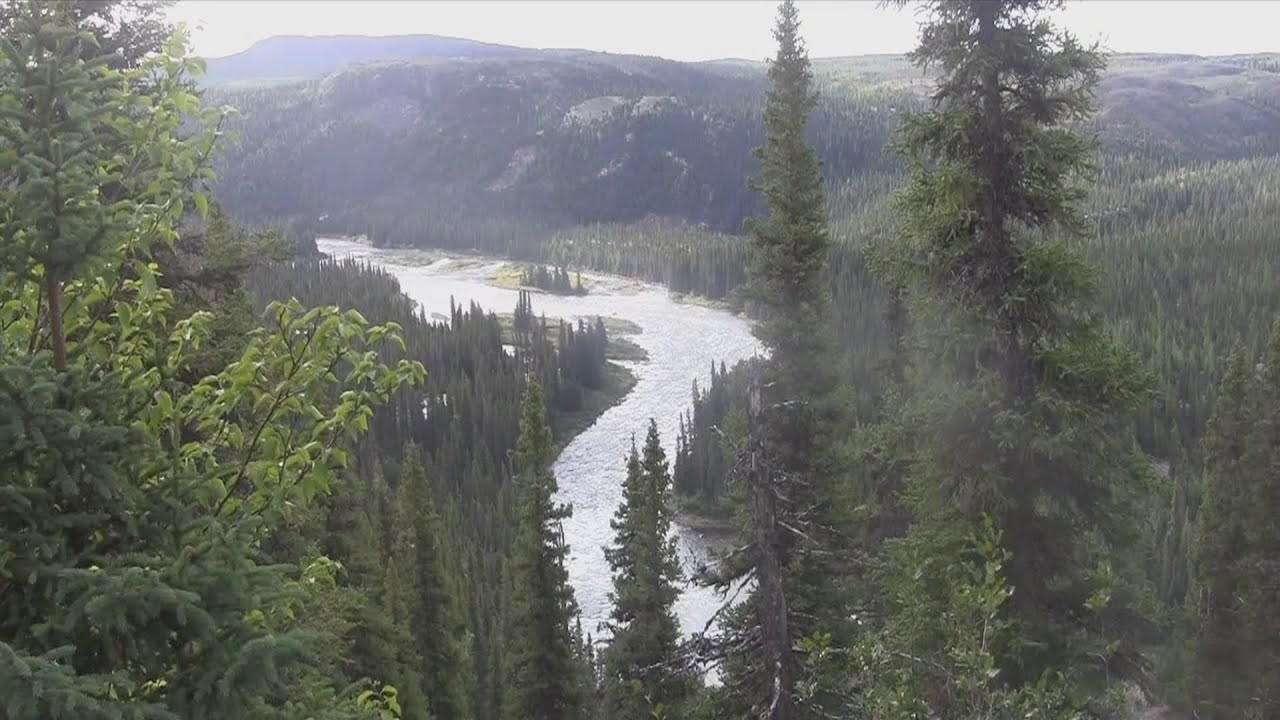 Dealing with the misery of bugs, and the danger of bears, the crew discovers that a northern canoe trip isn't all fun, all the time