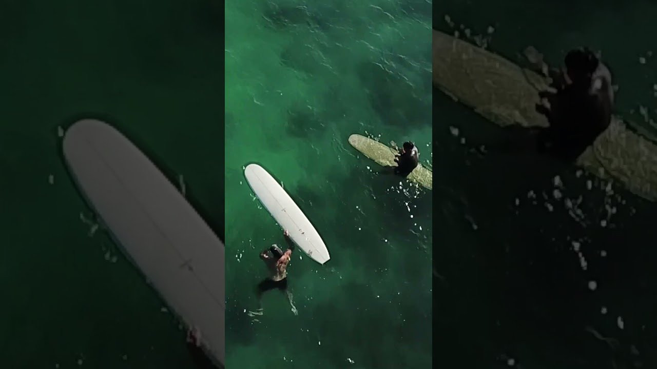 More from 3X World Champion Taylor Jensen here: https://linkin.bio/ig-firewiresurfboards