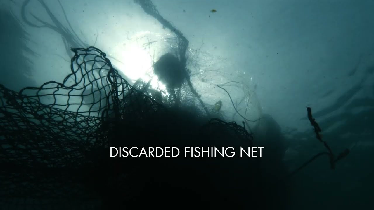 Rather than letting discarded fishing nets go to waste, we’re putting them back to good use by incorporating them into our Alpha line of fins. Our John John Florence Signature Series now comes in even more sizes - xsmall, small, and medium - all made with a combination of recycled fishing nets (@bureo NetPlus material) and our C6 Carbon material. Each fin in our Alpha line is crafted in Huntington Beach, CA, so you can feel good about supporting local production while also helping to reduce waste in the ocean.<br /><br /><br />@JJF <br />Film by: Parallel Sea