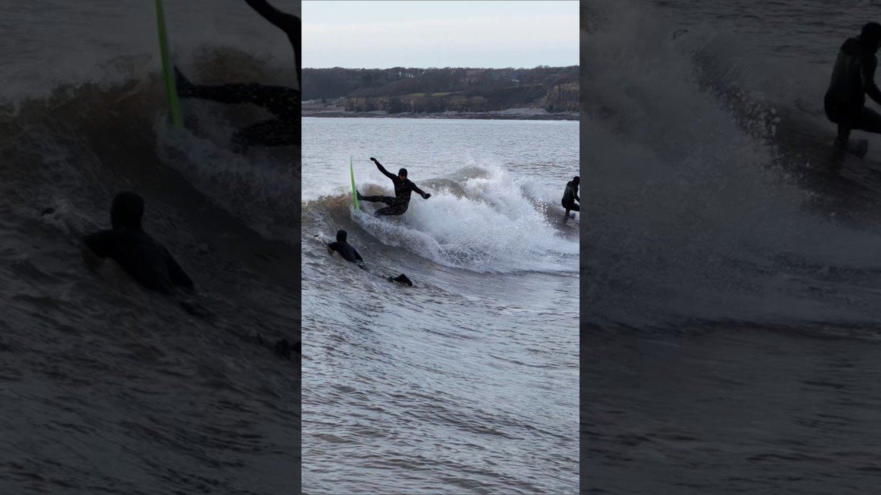 Surfer - Logan Nicol