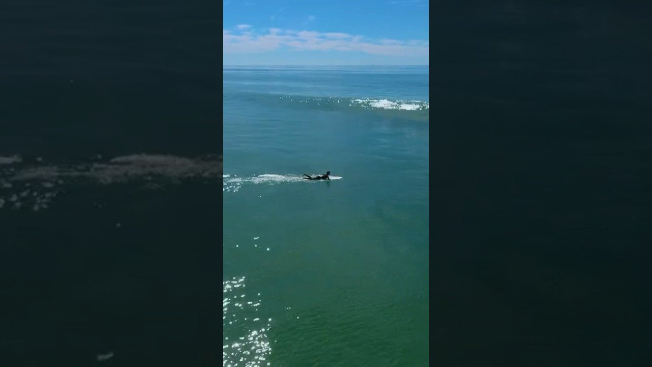 Enjoy the videos and music you love, upload original content, and share it all with friends, family, and the world on YouTube.