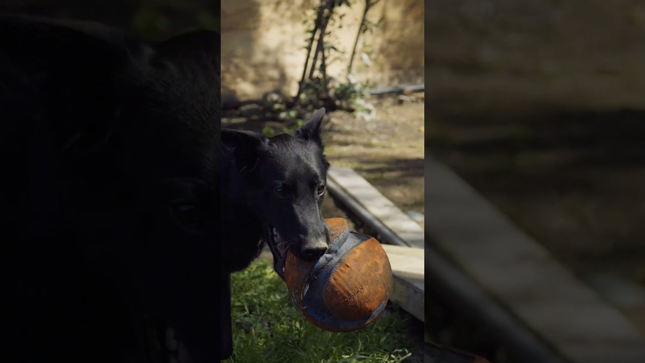 Web: https://ojwheels.com/<br />Instagram: https://www.instagram.com/ojwheels/<br />Facebook: https://www.facebook.com/OjWheels<br />YouTube: <br /><br /> / ojwheels <br />TikTok: https://www.tiktok.com/@ojwheels<br /><br />Our Emails Don't Suck, Sign up Below:<br />https://bit.ly/SubAndFindOut