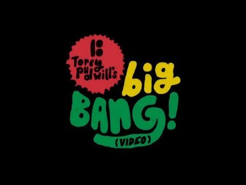 Plan B, Torey Pudwill and Thrasher magazine came together to bring you Torey's Big Bang Video. Filmed in the first six months of 2011.