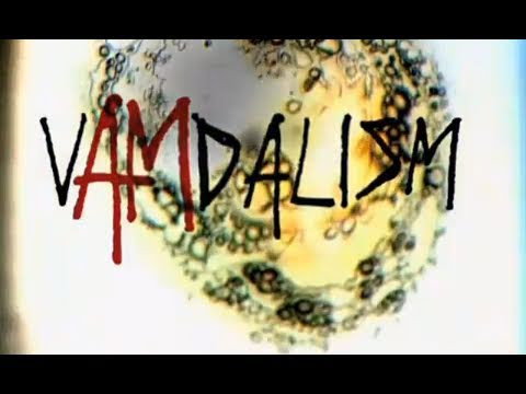 In case you missed it the first time around here is the full version of 2010's Plan B vAMdalism video featuring Scott Decenzo and Felipe Gustavo.