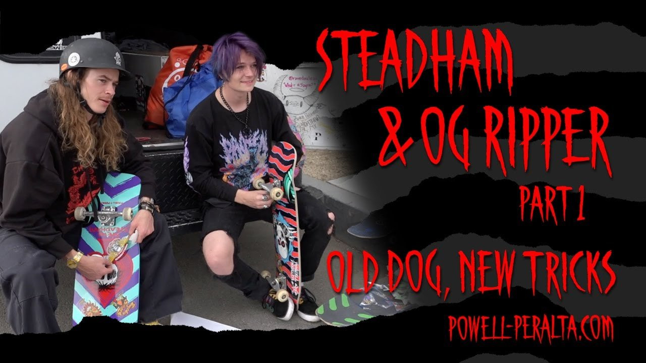 'Old Dog, New Tricks' with the Steadham and & OG Ripper(Flight) skateboards. Featuring: @authenticandyanderson, @ChristopherHiett., @daledecker, Darrius Hutton, Cy Romano, and a special appearance by Rowdy Dachshund.<br />Filmed by Deville<br /><br />Classic Skateboards<br />https://www.skateone.com/skateboard-decks/classic-and-re-issue?soc_in_stock%5B0%5D=641<br /><br />OG Ripper Flight<br />https://www.skateone.com/powell-peralta-ripper-02-flightr-skateboard-deck-9-7-x-31-32-14125