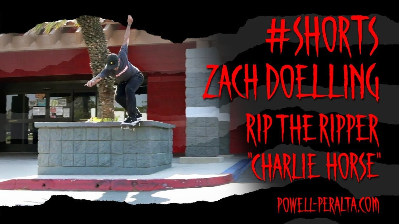 Zach Doelling seen in Charlie Blair’s 'RIP THE RIPPER' video part 📹 Dale Decker & Deville Nunes. Music by Dennis Dragon.<br />Watch the full video - https://bit.ly/PPCharlieHorse<br /><br />Website - https://powell-peralta.com/​<br />Instagram - https://www.instagram.com/powellperalta/​<br />Twitter - https://twitter.com/PowellPeralta​<br />TikTok - https://www.tiktok.com/@powell_peralta​<br />Facebook - https://www.facebook.com/powellperalta<br /><br />Watch more videos of Zach here https://www.youtube.com/channel/UCFyrvV__4wMki5lFPZe88bQ