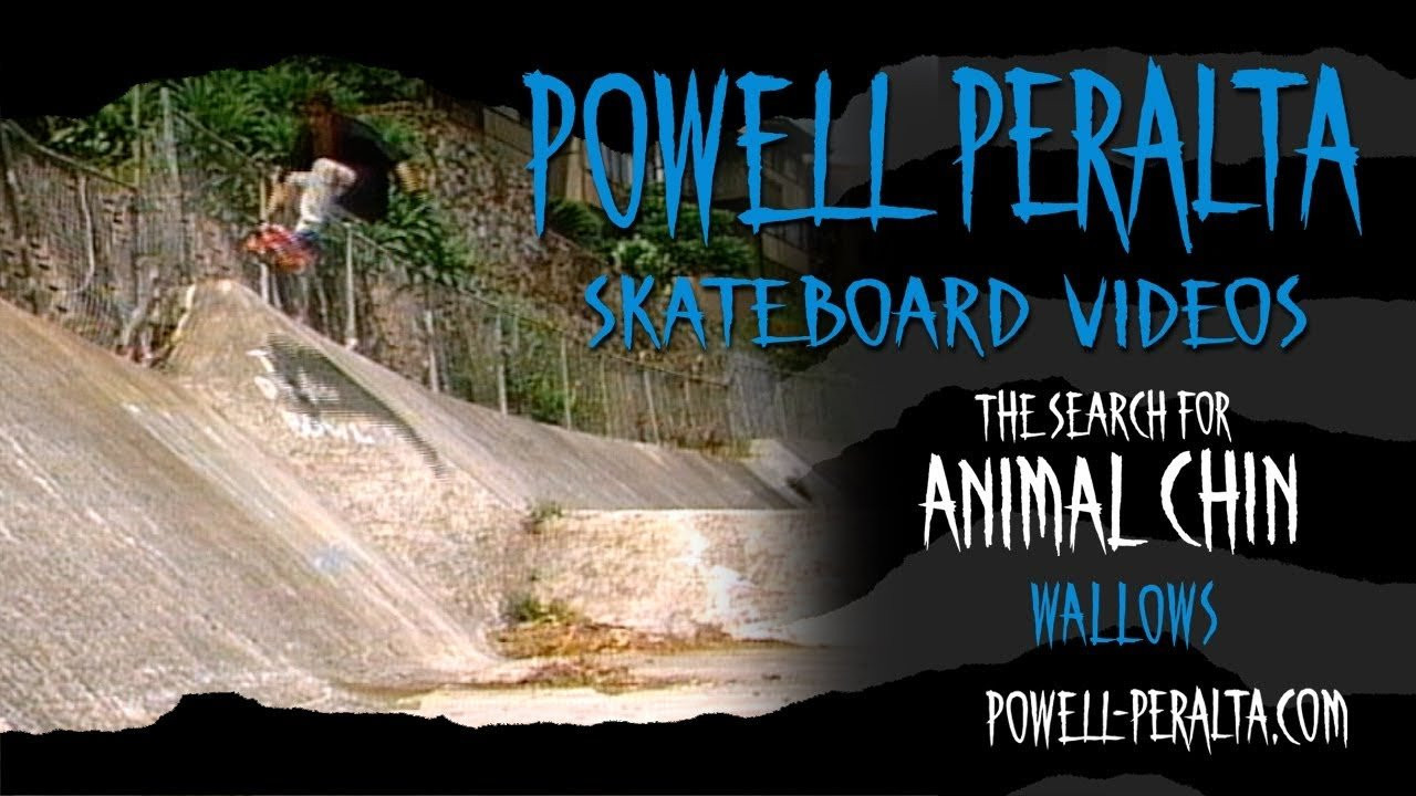 Powell Peralta Presents The Search for Animal Chin Chapter 2. Wallows.<br /><br />To get your own copy of The Search for Animal Chin in Special Edition DVD go to skateone.com.