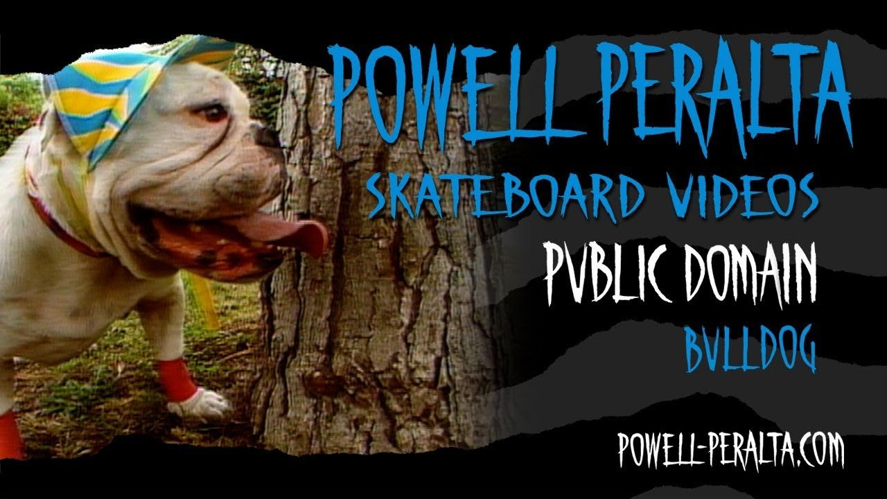 Powell Peralta Presents Public Domain Chapter 9 Bulldog.<br /><br />Lance and a Bulldog battle it out for a skateboard.<br /><br />To get your own copy of Public Domain on DVD go to skateone.com.