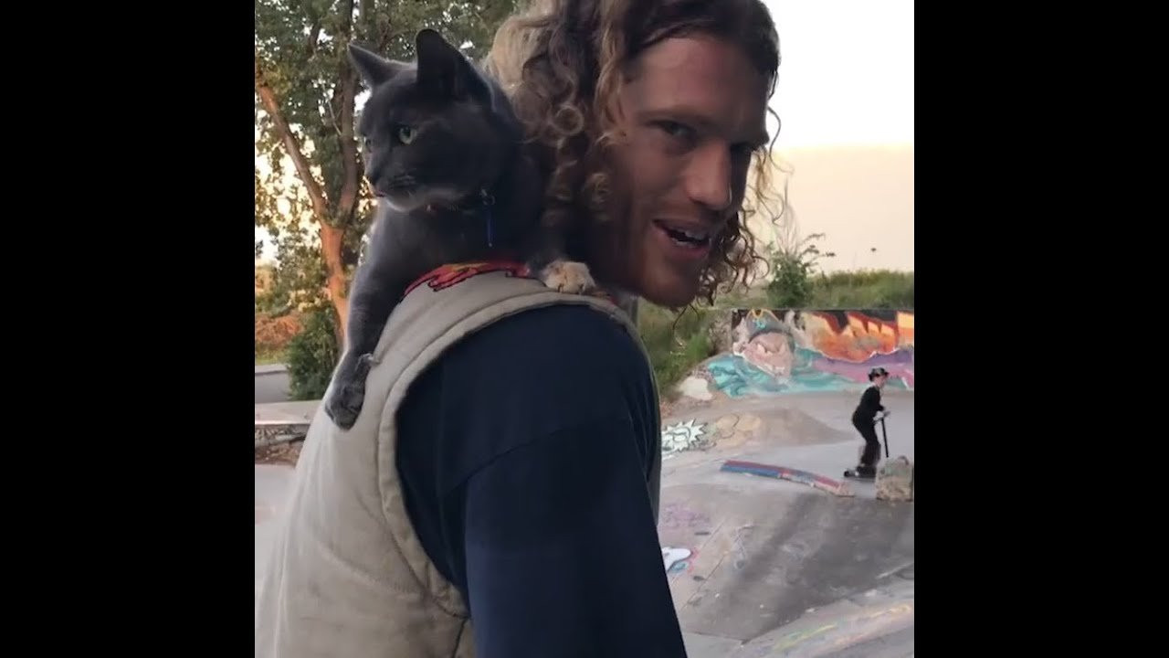 Skance with devil! 😈 All clips pulled from Alexis' IG https://www.instagram.com/ooohhhyyyeeeaaahhh/ • https://www.instagram.com/dimemtl • http://quartersnacks.com