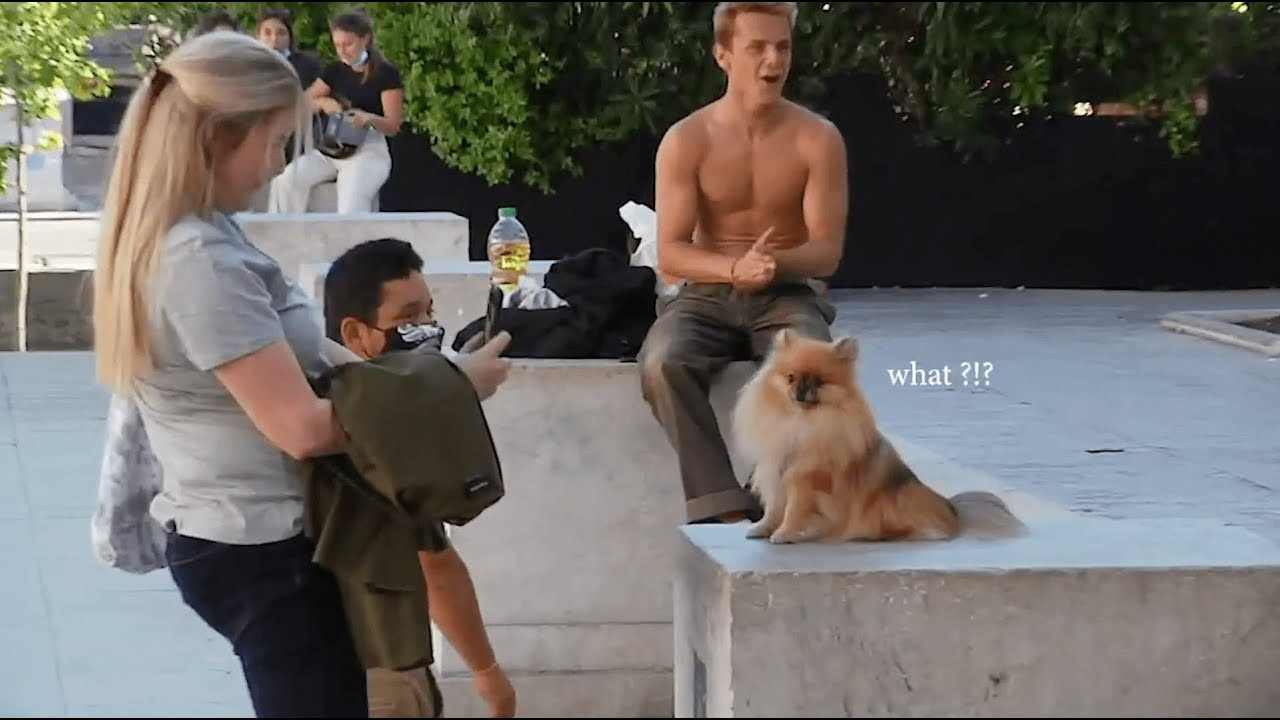 We have officially entered skateboardings Oscars season... links to original clips here: https://quartersnacks.com/2020/11/qstop10-november-20-2020/ • Intro via @z00ub