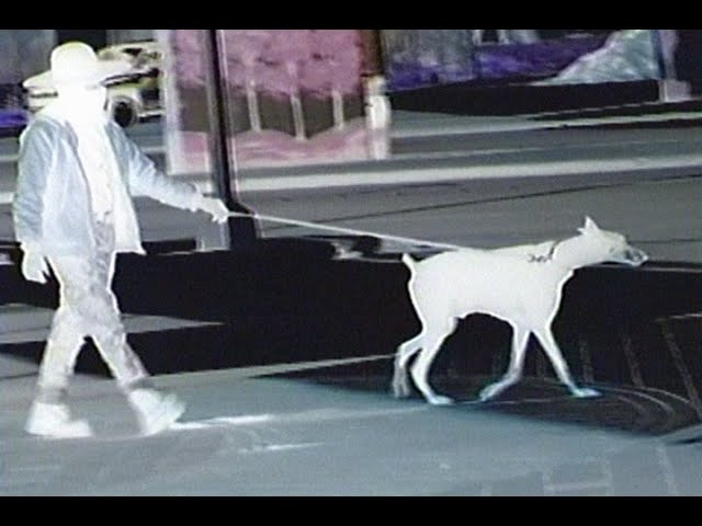 Went to Dallas man.<br /><br />Track 1: KUZU - “Carried Away”<br />Track 2: D Strange - “Runner137”<br /><br />2020<br />https://quasiskateboards.com/collections/frontpage