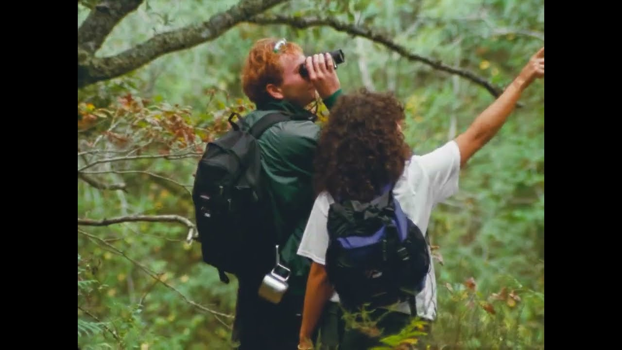 Commercial for RAVE x EASTPAK<br /><br />Shop the collab right here : https://raveskateboards.com/collections/rave-skateboards-fw22<br /><br />Réal : Jason Yan Francis