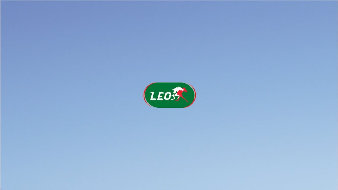 Courtesy of Sebastien Abes for the video 💅<br />https://www.instagram.com/sebastienabes/?hl=fr<br /><br />----------------------<br />https://raveskateboards.com/collections/rave-skateboards-fall-21-season