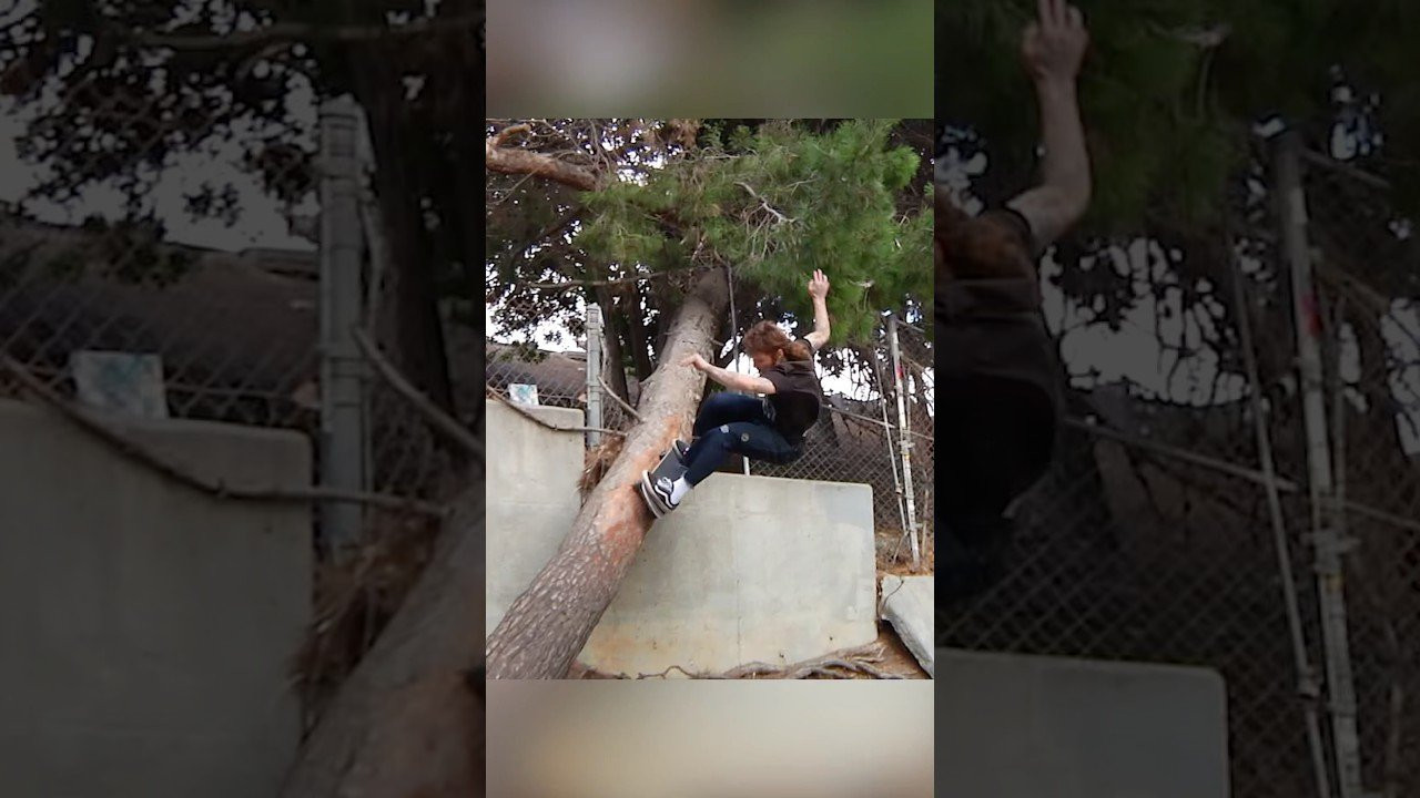 BTS of T-Funk's EPIC tree transfer as seen in Baker Skateboards "Gimmie A Break!" 🌳 Full video playing on the Thrasher site 📡