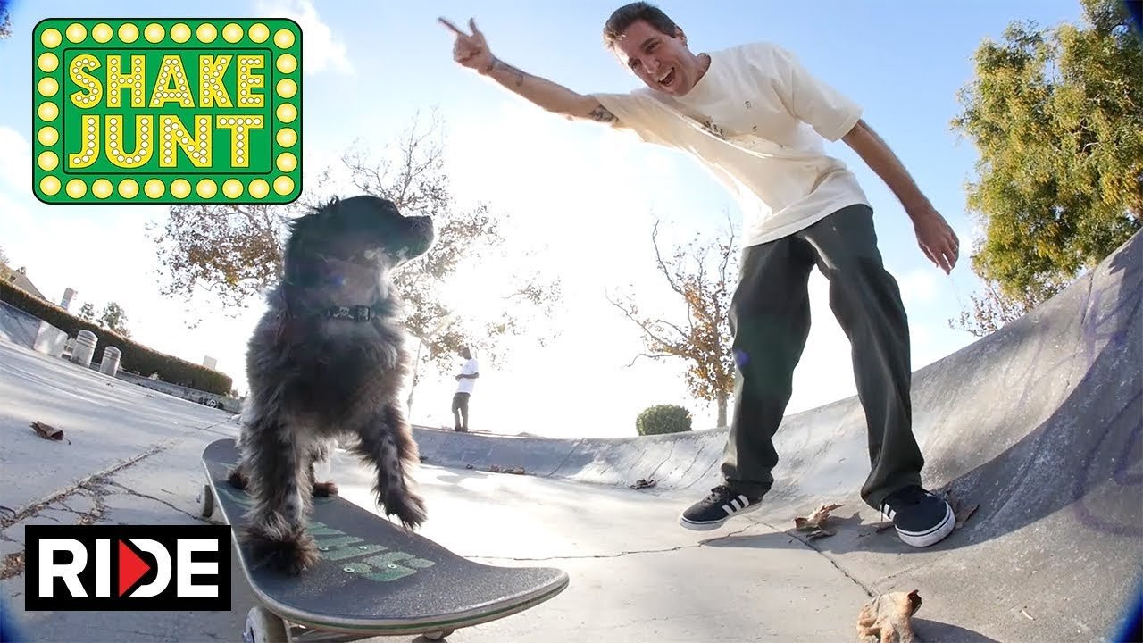 BeagleOneIsm at Murdy Park<br /><br />Ride Channel brings you original content every week featuring top shows such as Shoe Review, Free Lunch, Spencer Nuzzi Basics as well as exclusive interviews, events, contests, parts, premieres, and a whole lot more at: http://theridechannel.com/<br /><br />SUBSCRIBE to RIDE: http://bit.ly/HZ9Dau<br />Like RIDE on FACEBOOK: http://facebook.com/ridechannel<br />Follow RIDE on INSTAGRAM: http://instagram.com/ridechannel<br />Follow RIDE on TWITTER: http://twitter.com/ridechannel<br />Check out the RIDE WEBSITE: http://theridechannel.com/